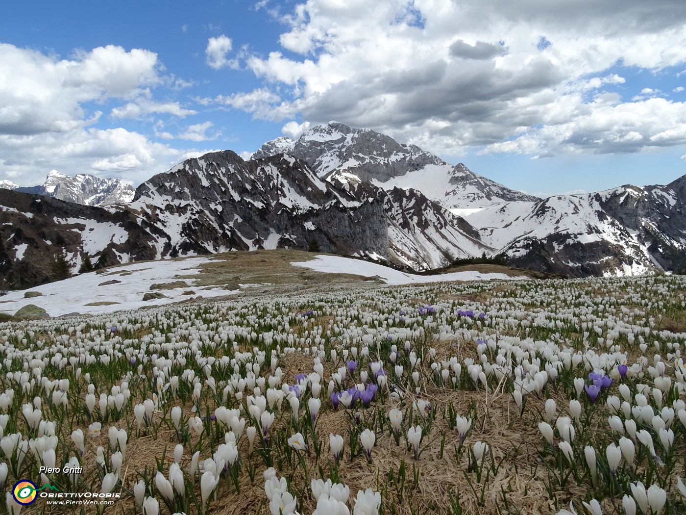 85 Crocus e Arera in attesa del sole.JPG